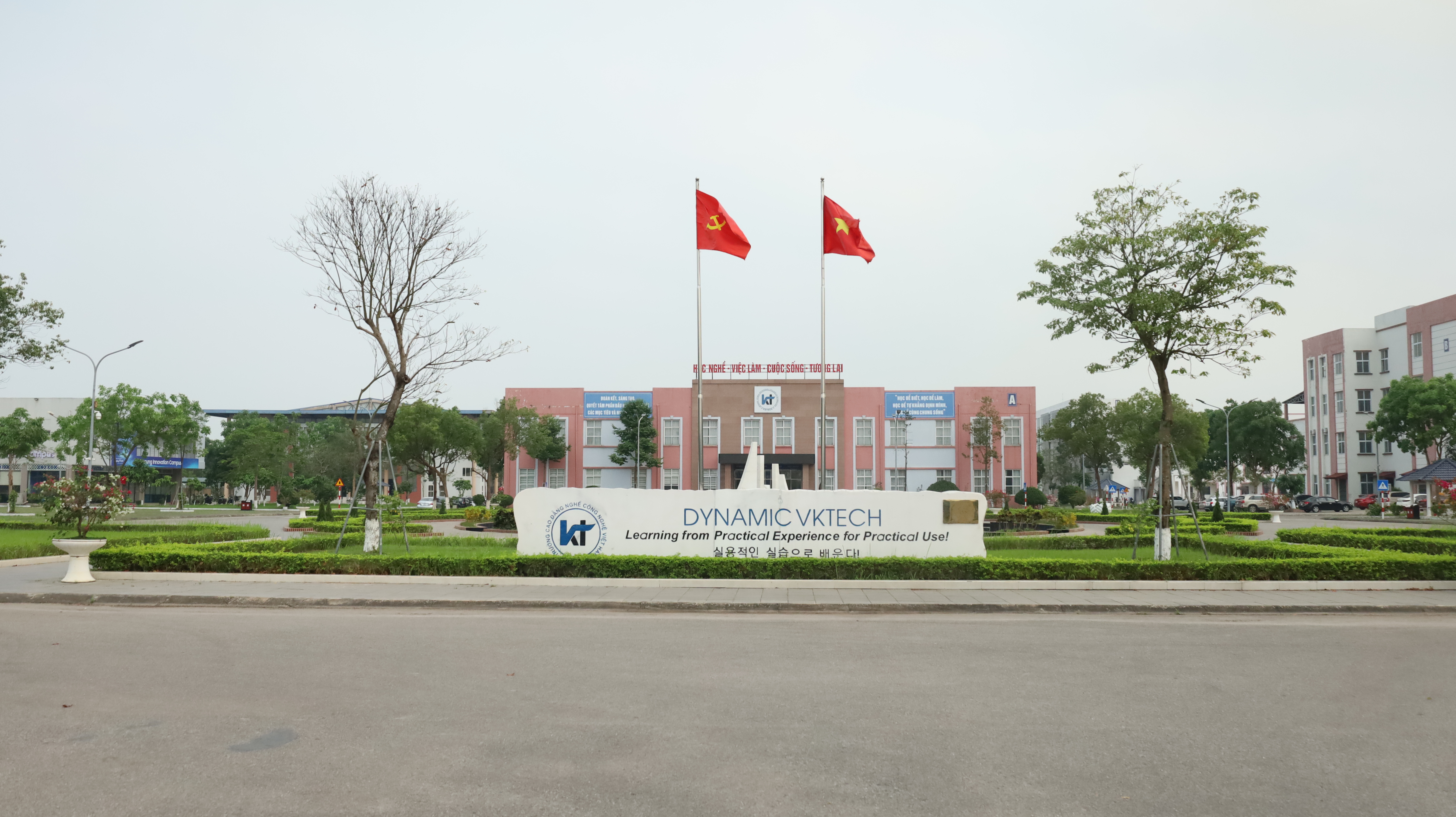 Chúng đẹp và quá trẻ